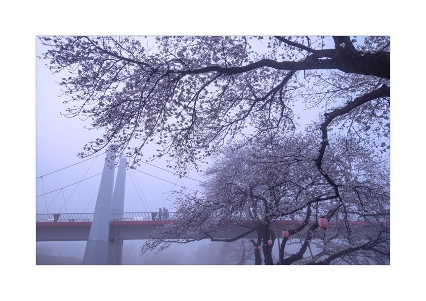 01-11.jpg