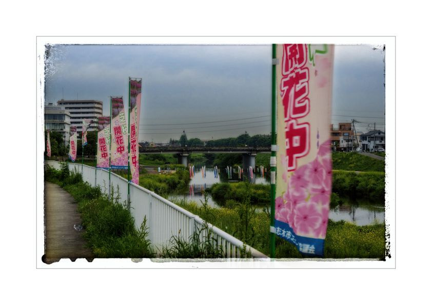 01-10.jpg